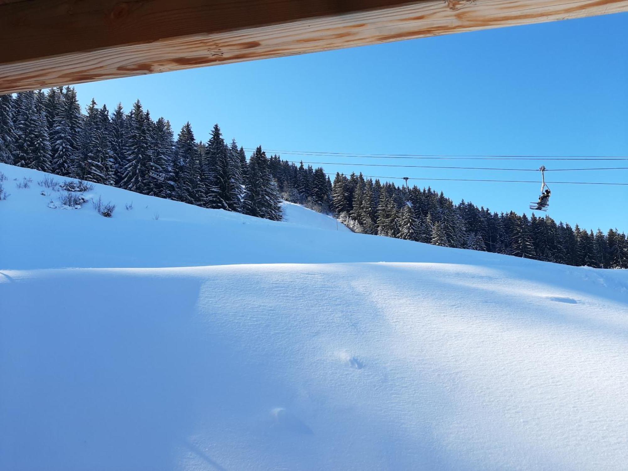 Les 7 Laux Immobilier Chalet F プラプテル エクステリア 写真