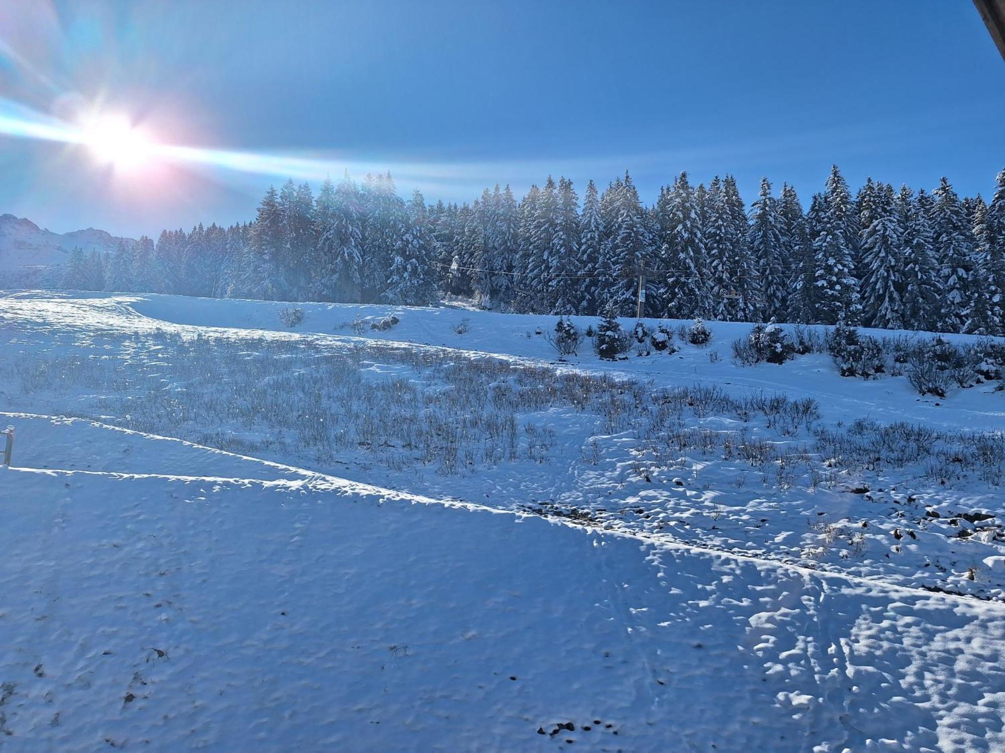Les 7 Laux Immobilier Chalet F プラプテル エクステリア 写真